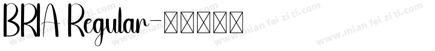 BRIA Regular字体转换